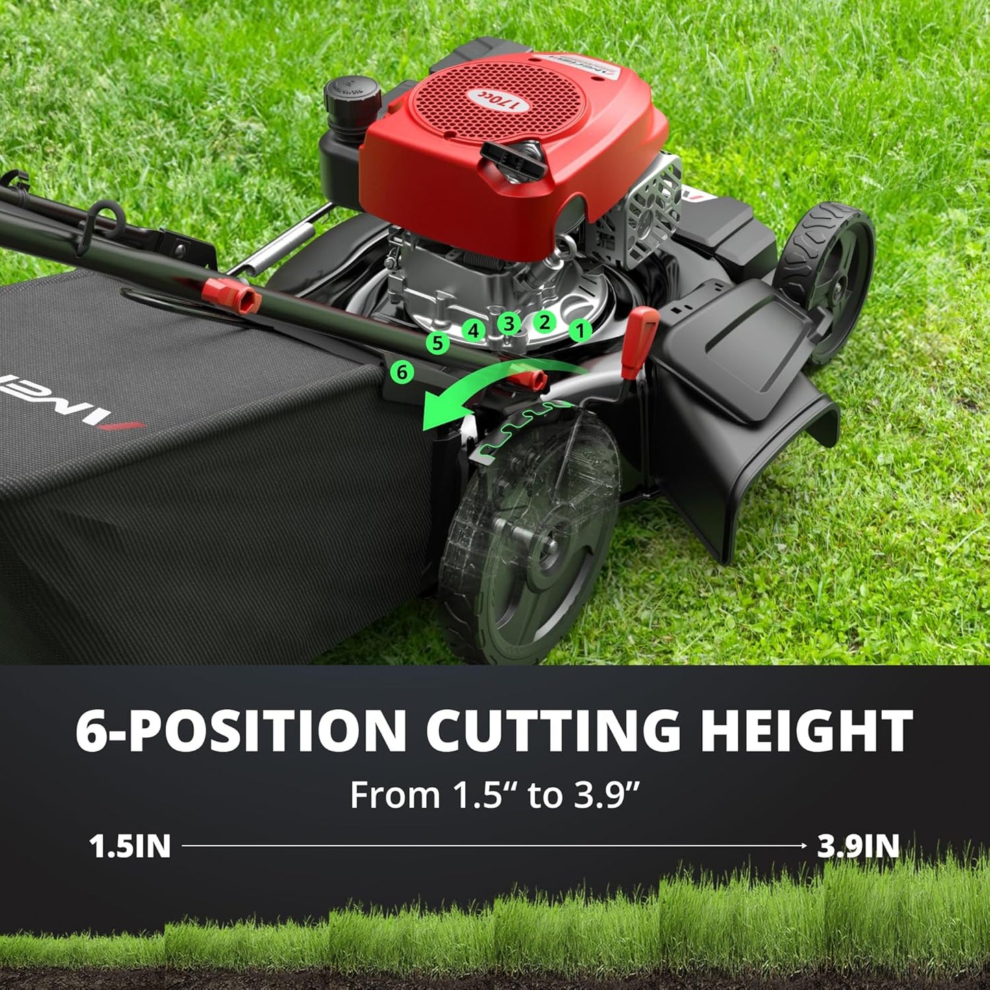 AMERISUN 21-Inch Self-Propelled Gas Lawn Mower for Large Yard, 170cc 4-Stroke Engine